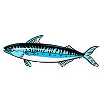 Bahan Ikan Sardine